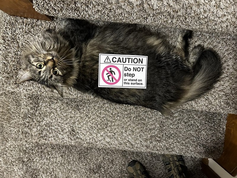 ACAUTION Do NOT step or stand on this surface.