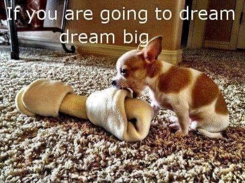 If you are going to dream dream big