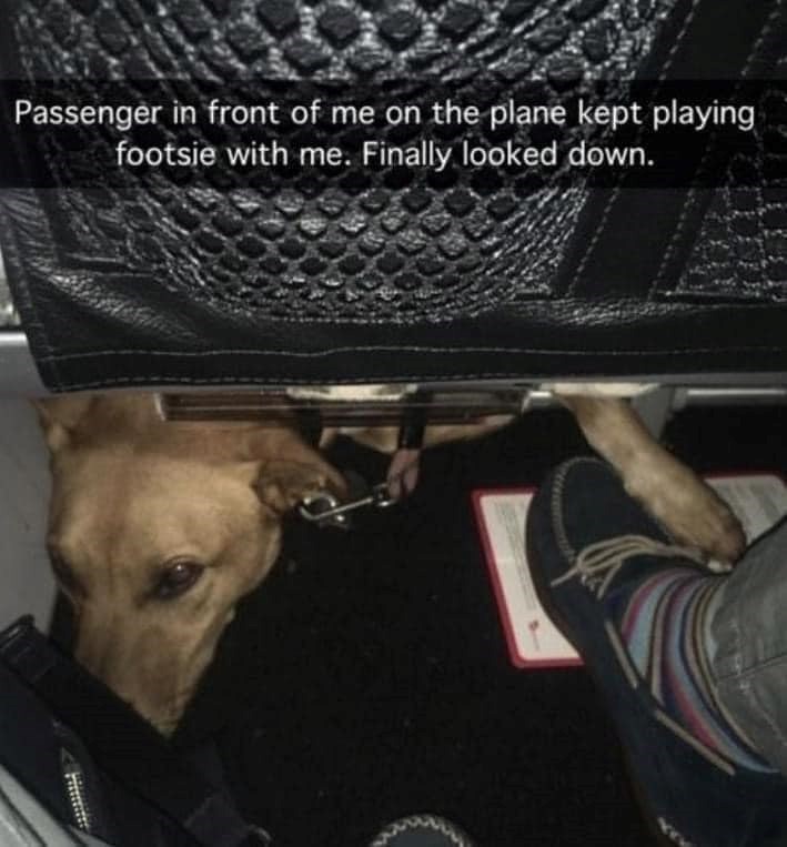 Passenger in front of me on the plane kept playing footsie with me. Finally looked down.