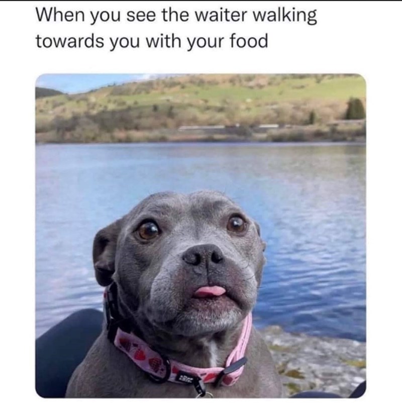 When you see the waiter walking towards you with your food