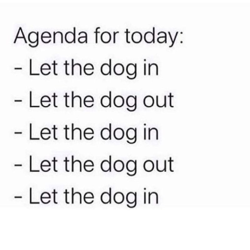 Agenda for today: - Let the dog in - Let the dog out - Let the dog in - Let the dog out - Let the dog in