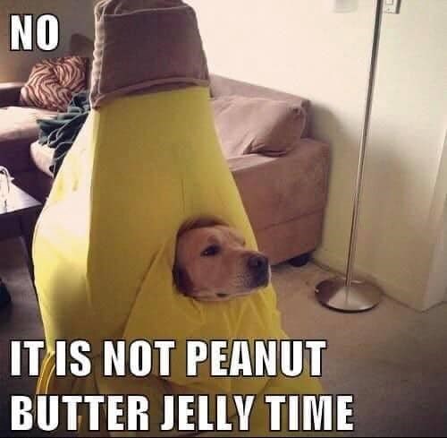 NO IT IS NOT PEANUT BUTTER JELLY TIME