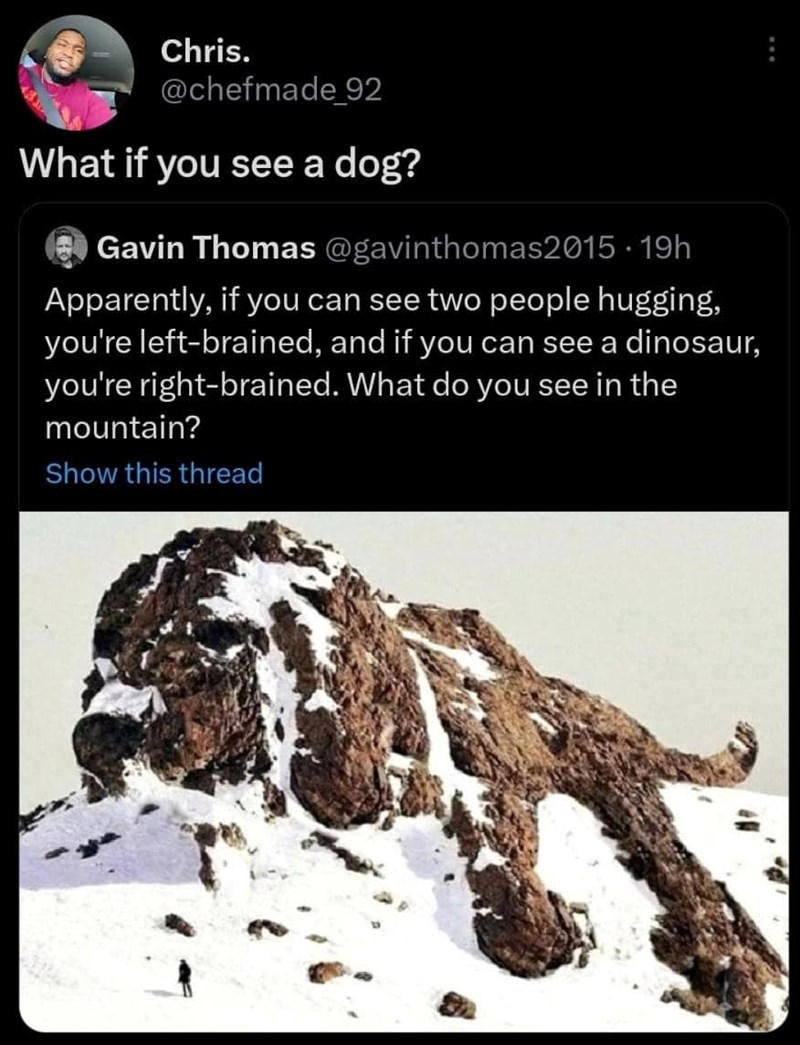 Chris. @chefmade_92 What if you see a dog? Gavin Thomas @gavinthomas2015 • 19h Apparently, if you can see two people hugging, you're left-brained, and if you can see a dinosaur, you're right-brained. What do you see in the mountain? Show this thread