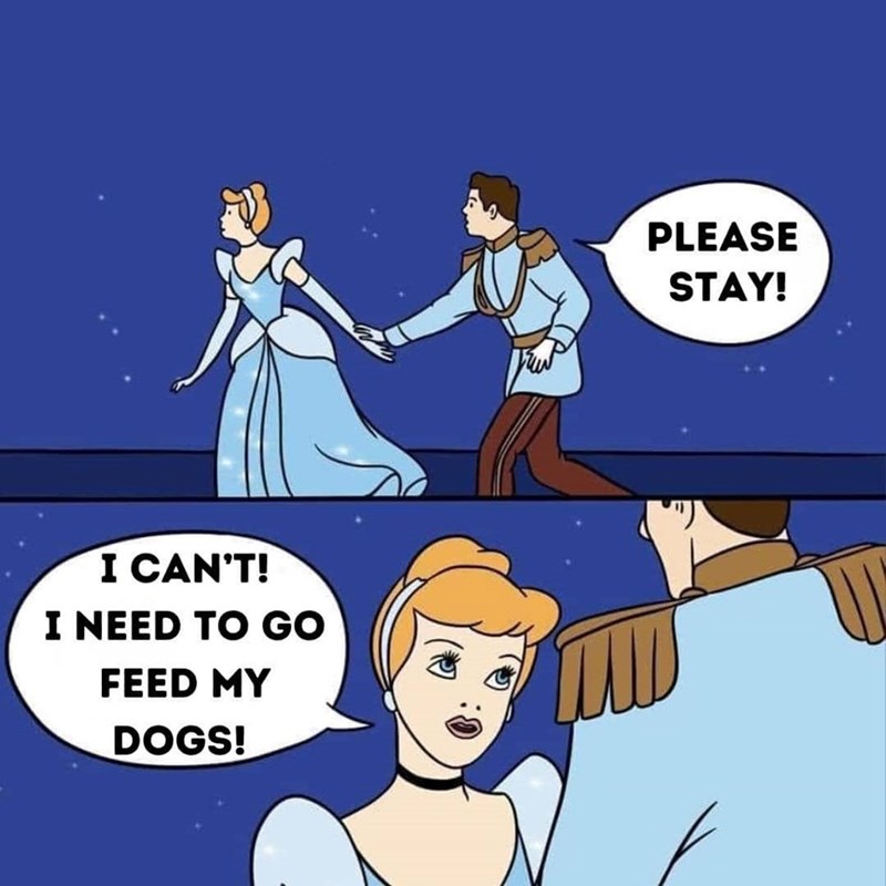 I CAN'T! I NEED TO GO FEED MY DOGS! PLEASE STAY!