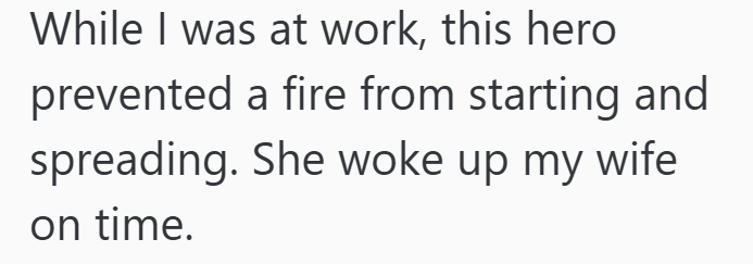 While I was at work, this hero prevented a fire from starting and spreading. She woke up my wife on time.