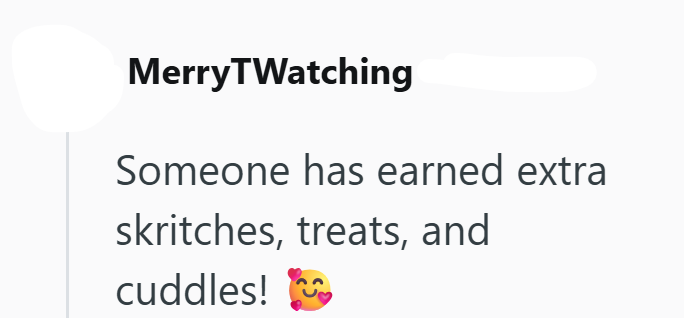 MerryTWatching Someone has earned extra skritches, treats, and cuddles!