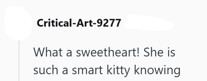 Critical-Art-9277 What a sweetheart! She is such a smart kitty knowing