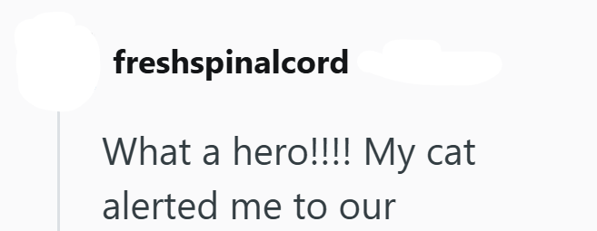 freshspinalcord What a hero!!!! My cat alerted me to our