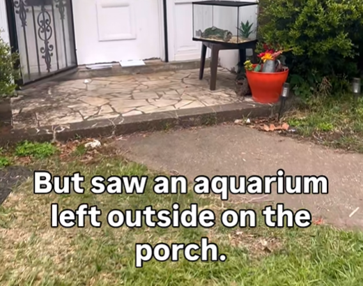 But saw an aquarium left outside on the porch.