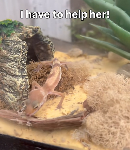 I have to help her!