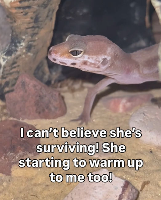 I can't believe she's surviving! She starting to warm up to me too!