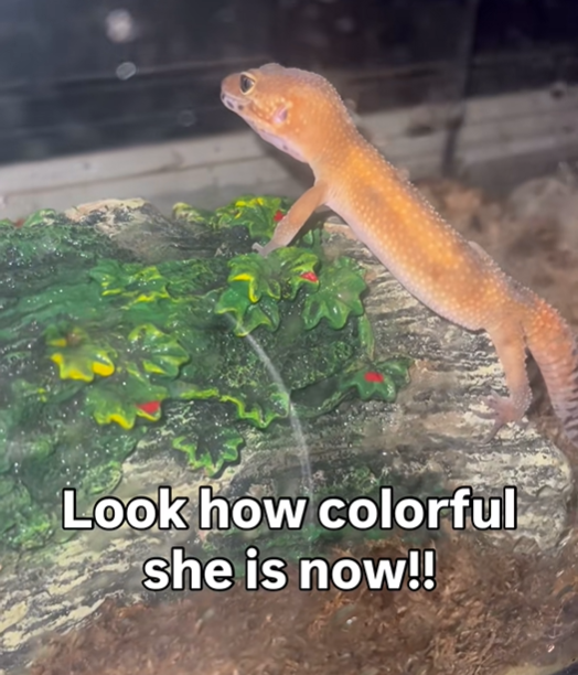Look how colorful she is now!!