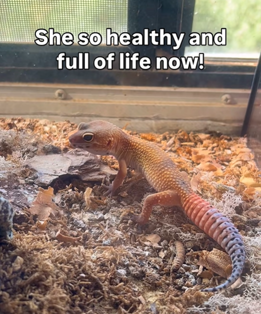 She so healthy and full of life now!