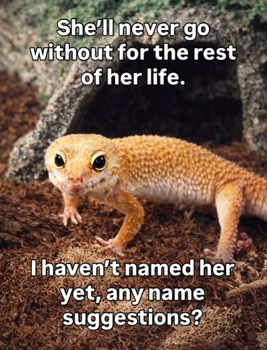 She'll never go without for the rest of her life. I haven't named her yet, any name suggestions?