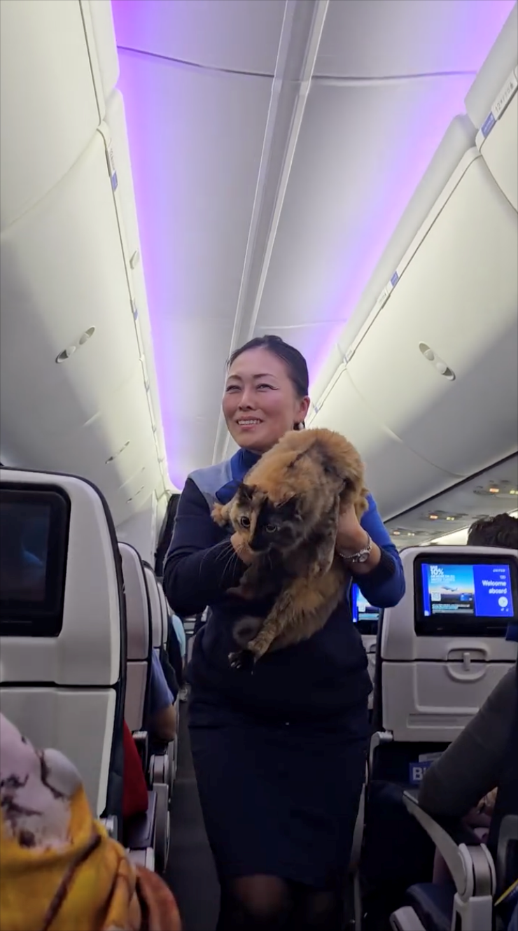 B Welcome aboard