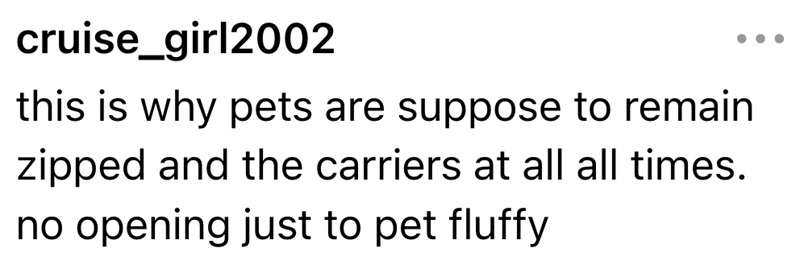 cruise_girl2002 this is why pets are suppose to remain zipped and the carriers at all all times. no opening just to pet fluffy