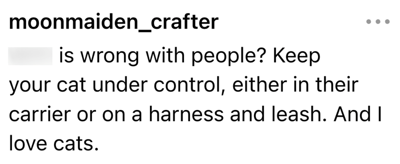 moonmaiden_crafter is wrong with people? Keep your cat under control, either in their carrier or on a harness and leash. And I love cats.