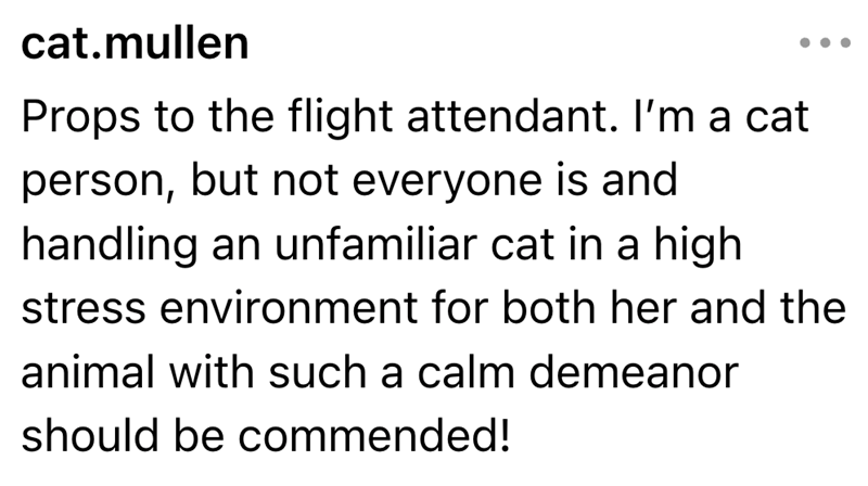 cat.mullen Props to the flight attendant. I'm a cat person, but not everyone is and handling an unfamiliar cat in a high stress environment for both her and the animal with such a calm demeanor should be commended!