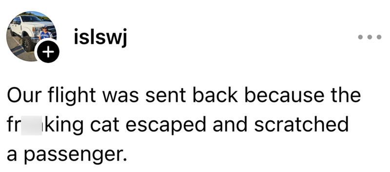 islswj + Our flight was sent back because the fr king cat escaped and scratched a passenger.