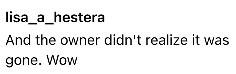 lisa_a_hestera And the owner didn't realize it was gone. Wow