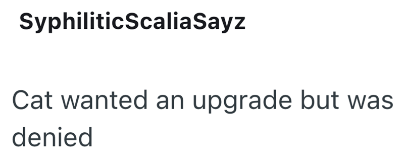 SyphiliticScaliaSayz Cat wanted an upgrade but was denied