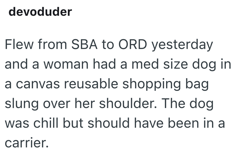 devoduder Flew from SBA to ORD yesterday and a woman had a med size dog in a canvas reusable shopping bag slung over her shoulder. The dog was chill but should have been in a carrier.