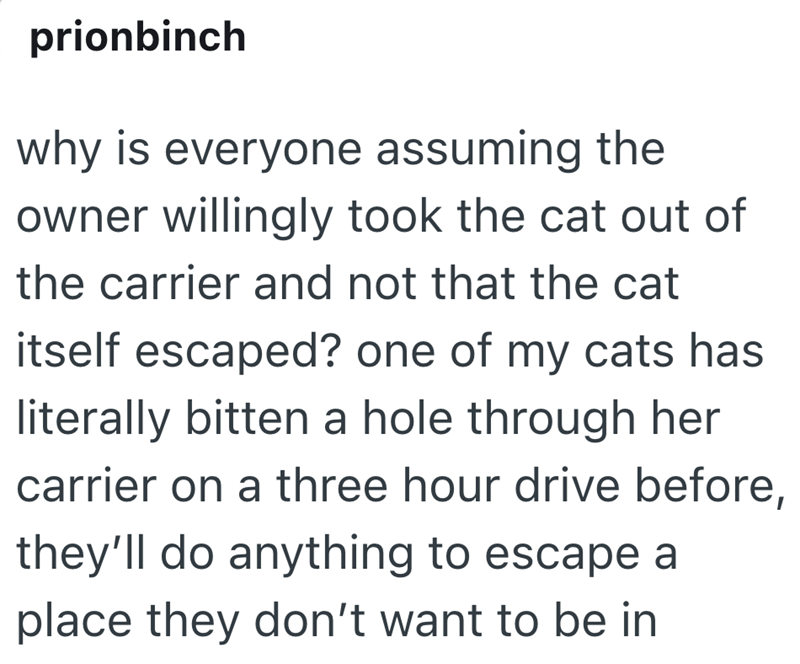 prionbinch why is everyone assuming the owner willingly took the cat out of the carrier and not that the cat itself escaped? one of my cats has literally bitten a hole through her carrier on a three hour drive before, they'll do anything to escape a place they don't want to be in