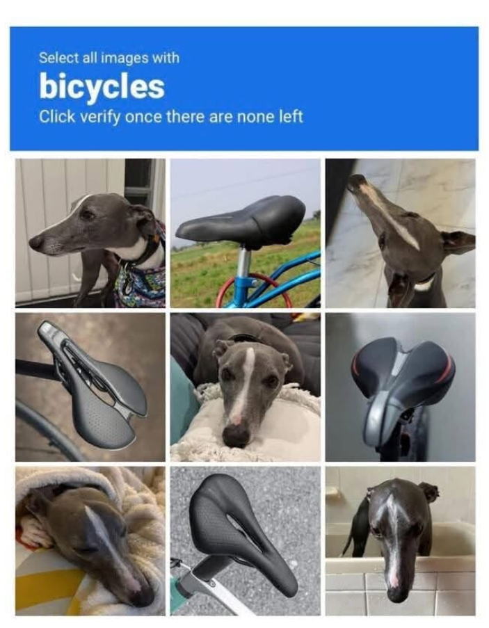 Select all images with bicycles Click verify once there are none left