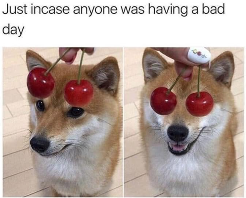 Just incase anyone was having a bad day