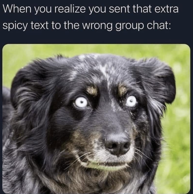 When you realize you sent that extra spicy text to the wrong group chat: