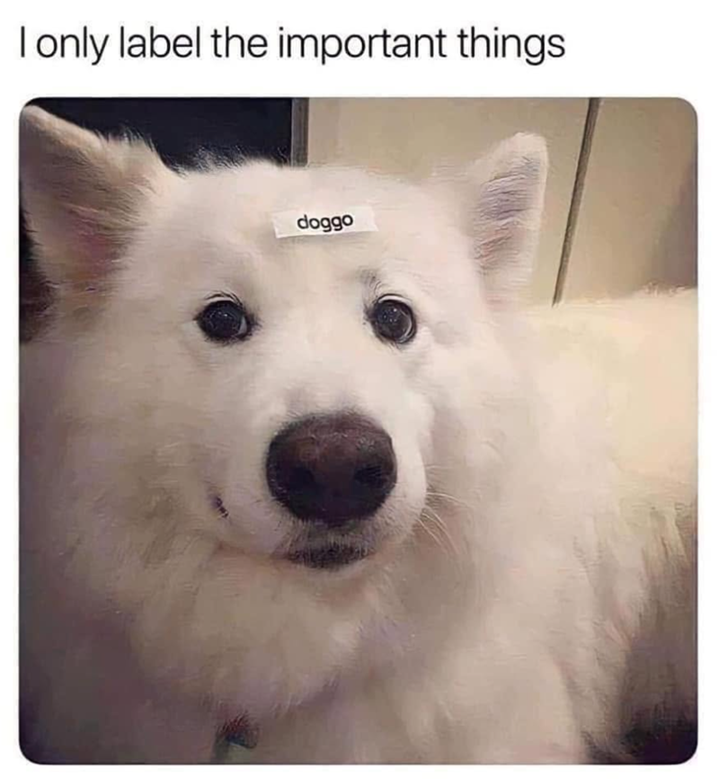 I only label the important things doggo
