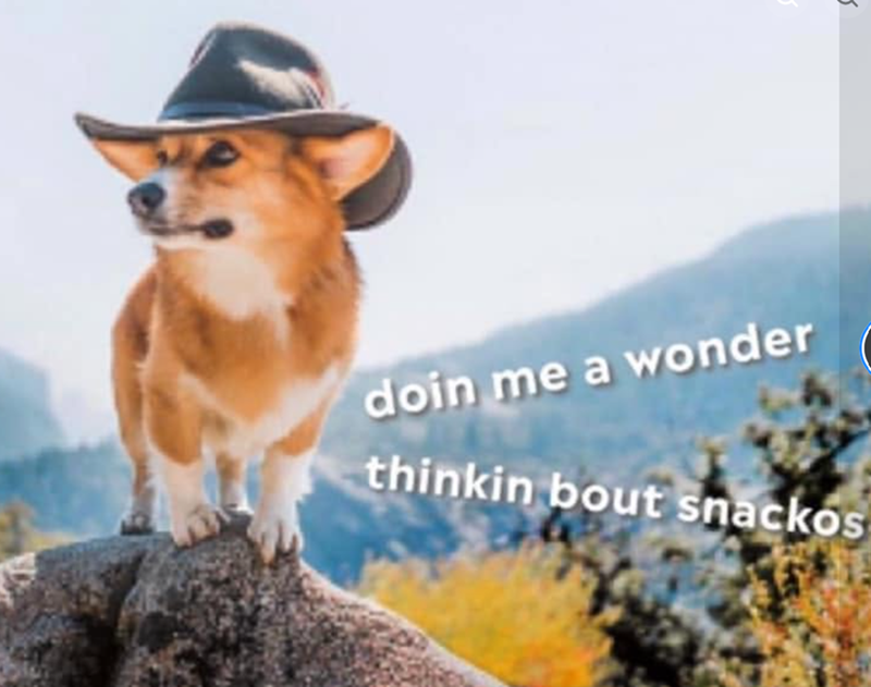 doin me a wonder thinkin bout snackos
