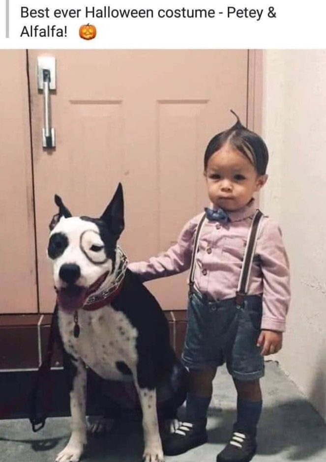 Best ever Halloween costume - Petey & Alfalfa!