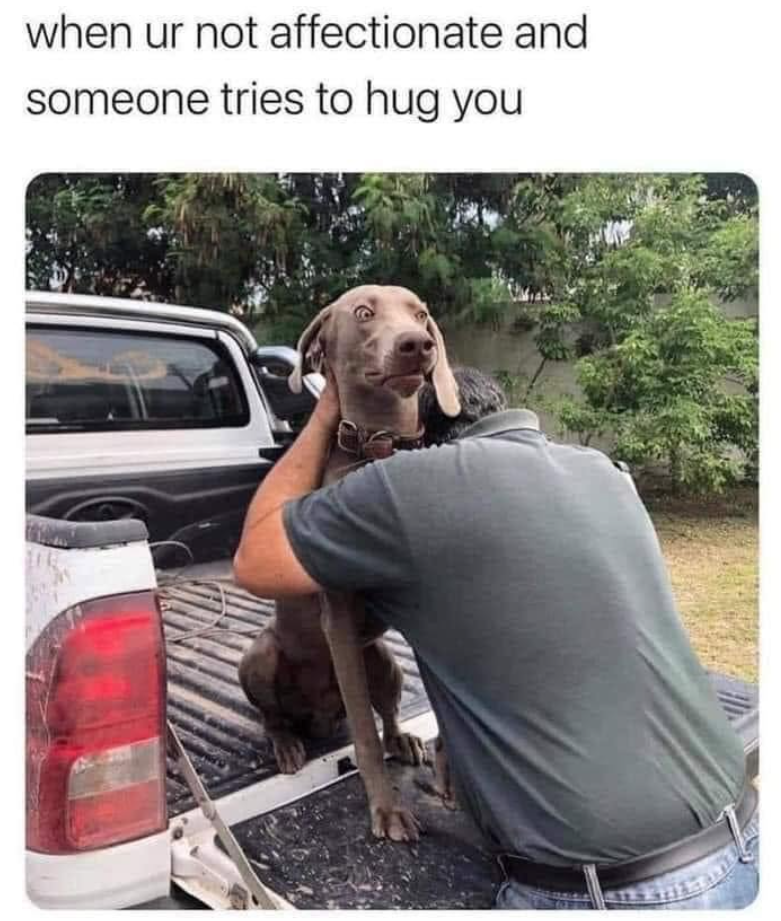 when ur not affectionate and someone tries to hug you