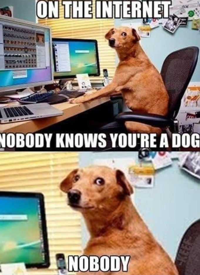ON THE INTERNET, NOBODY KNOWS YOU'RE A DOG NOBODY
