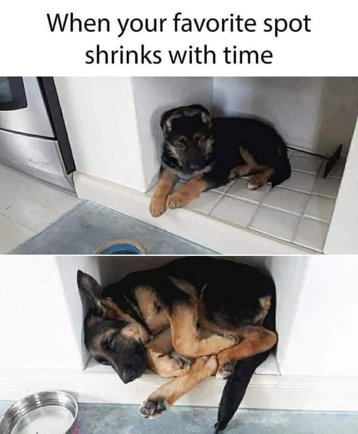 When your favorite spot shrinks with time
