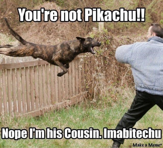 You're not Pikachu!! Nope I'm his Cousin, Imabitechu Make a Meme+