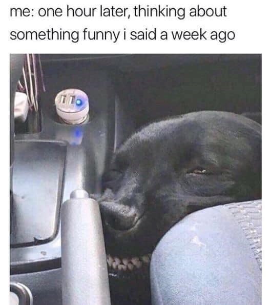 me: one hour later, thinking about something funny i said a week ago По