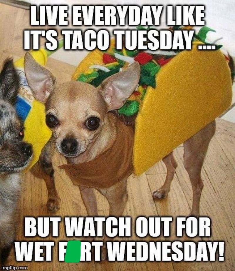 LIVE EVERYDAY LIKE IT'S TACO TUESDAY... BUT WATCH OUT FOR WET FORT WEDNESDAY! imgflip.com