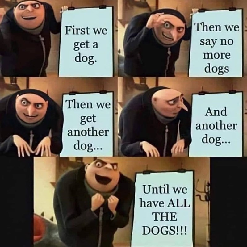 First we get a dog. Then we get another dog... Then we say no more dogs And another dog... Until we have ALL THE DOGS!!!
