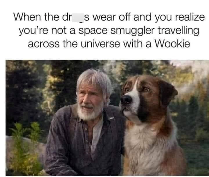 When the dr s wear off and you realize you're not a space smuggler travelling across the universe with a Wookie