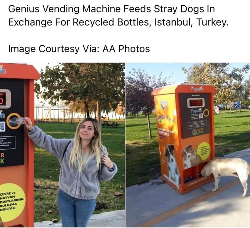Genius Vending Machine Feeds Stray Dogs In Exchange For Recycled Bottles, Istanbul, Turkey. Image Courtesy Via: AA Photos RK ÇEVRE ve HAYVAN DOSTLARININ BULUŞMA NOKTASI BESLEYEN 555 Puged
