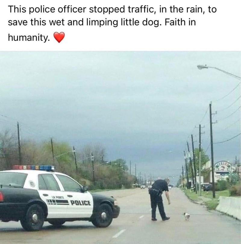 This police officer stopped traffic, in the rain, to save this wet and limping little dog. Faith in humanity. LA PORTI POLICE