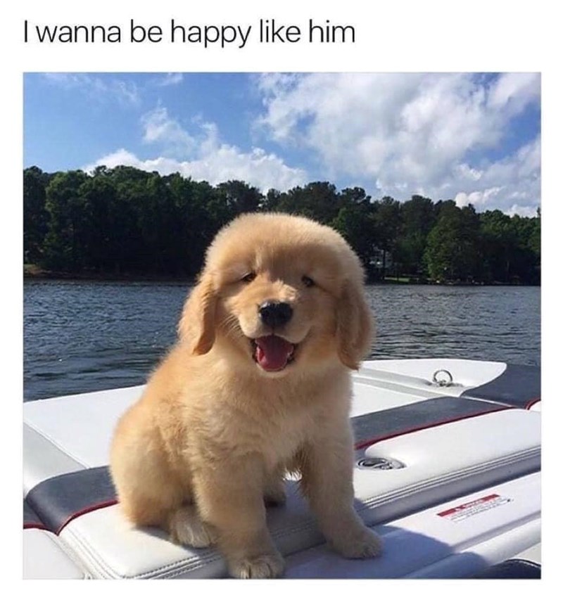 I wanna be happy like him