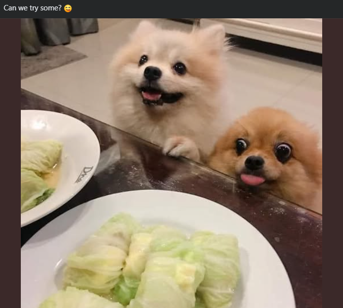 Can we try some? D