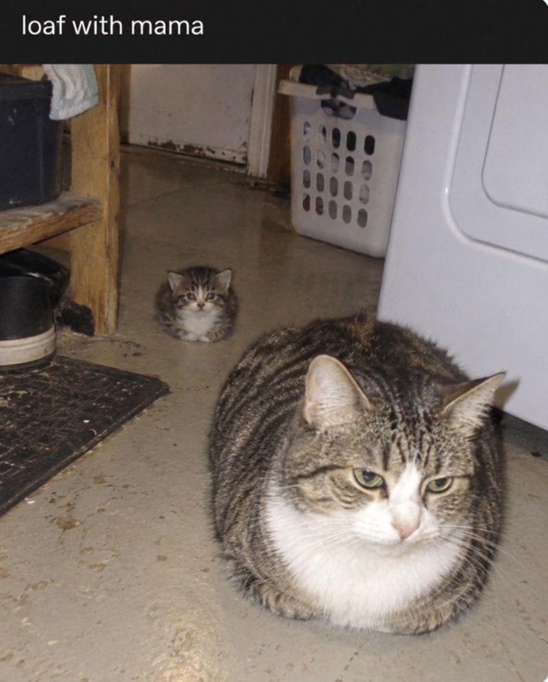 loaf with mama