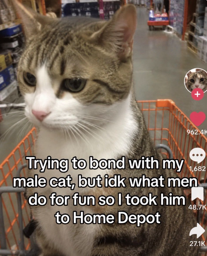 962.4K Trying to bond with my 1,682 male cat, but idk what men do for fun so I took him to Home Depot 48.7K 27.1K