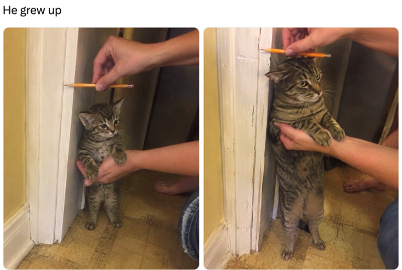 He grew up