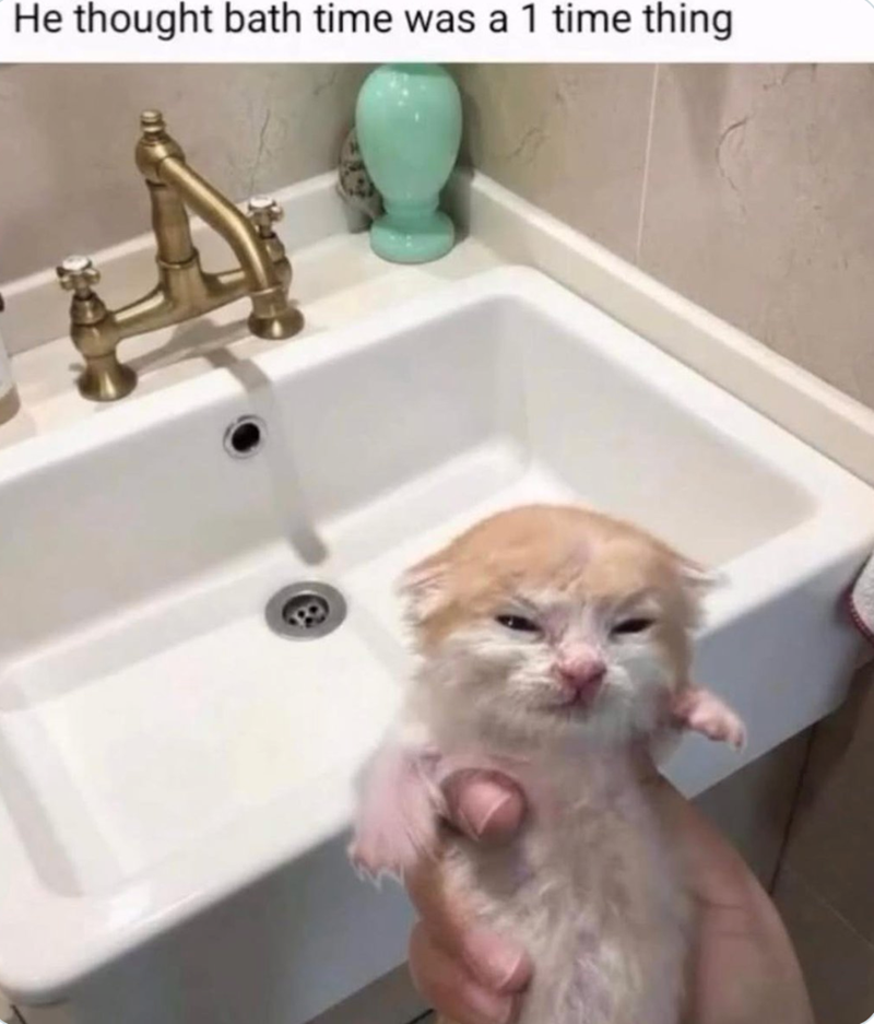 He thought bath time was a 1 time thing