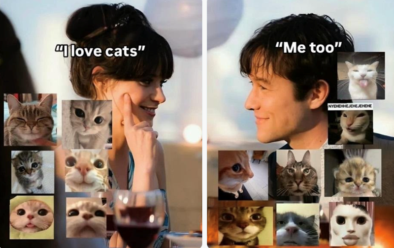 love cats" "Me too" NYEHEHHEJEHEJEHEHE